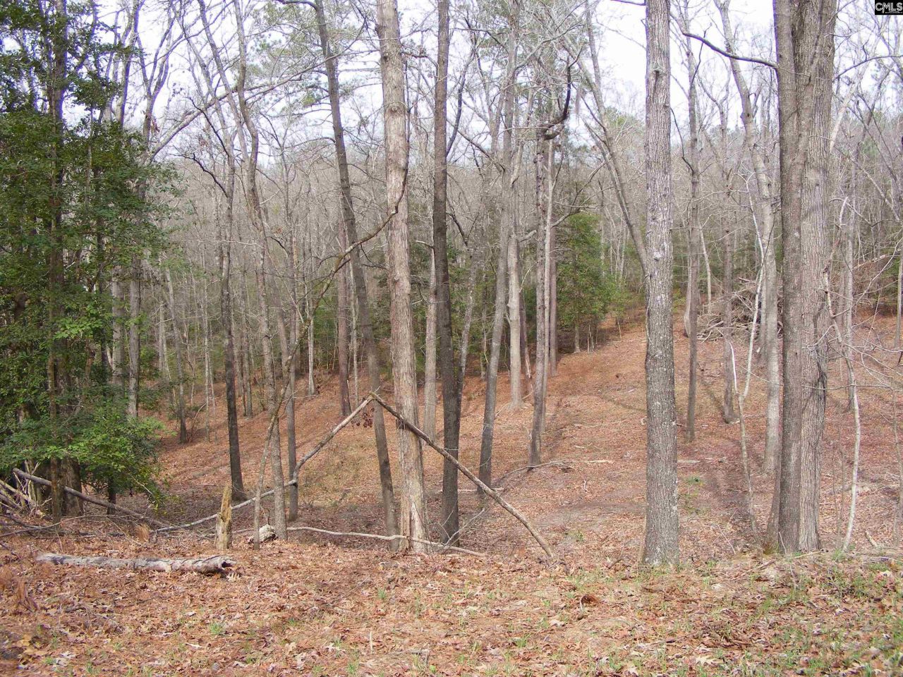 0 Great Circle Drive Photo 11