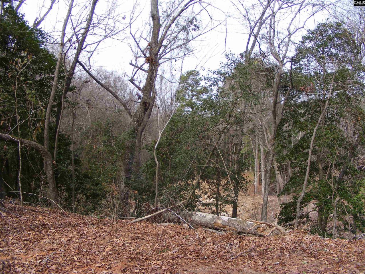 0 Great Circle Drive Photo 6