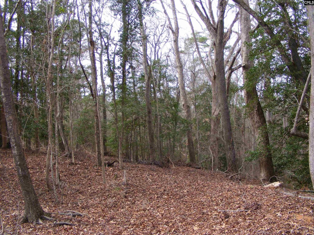 0 Great Circle Drive Photo 7