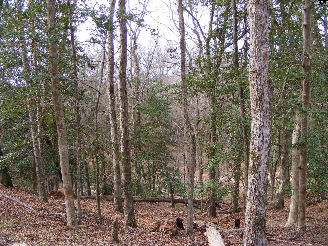 0 Great Circle Drive Photo 9