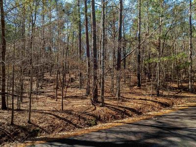 Little Saluda Lane, Unit Lot 089, Batesburg, SC 29006