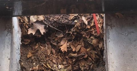 733 S Wells Avenue, Reno, NV 89502 Photo