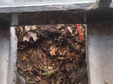 733 S Wells Avenue, Reno, NV 89502 Photo