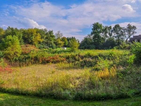 4353 Carlisle Drive, Crystal Lake, IL 60012