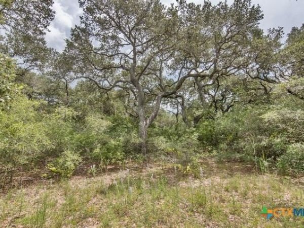 Tract 12 PR 4061, Edna, TX 77957