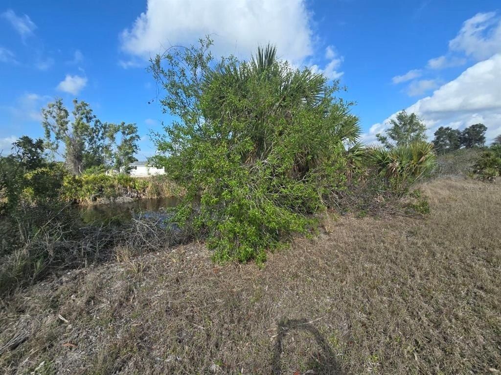 3813 NW 46th Lane, Cape Coral, FL 33993 Photo