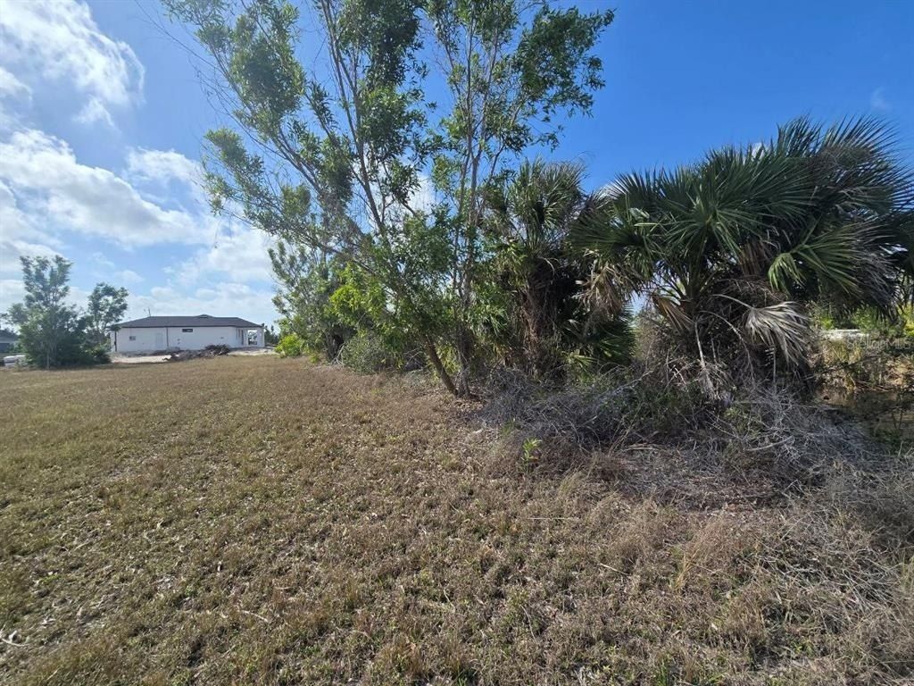 3813 NW 46th Lane, Cape Coral, FL 33993 Photo