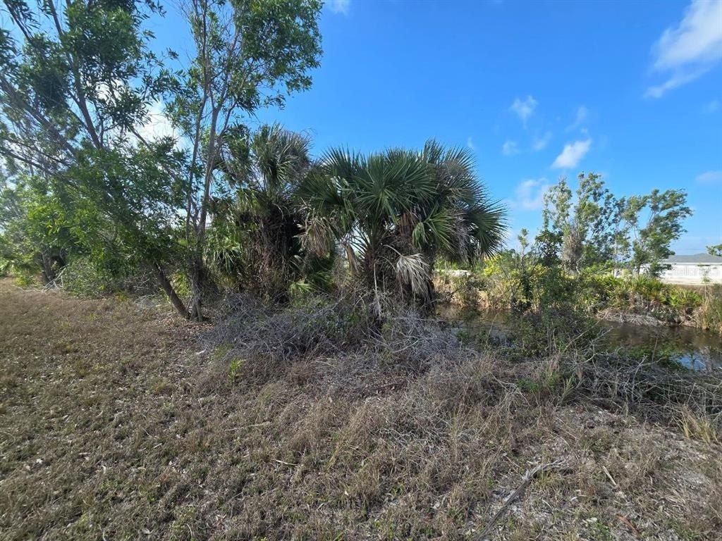 3813 NW 46th Lane, Cape Coral, FL 33993 Photo