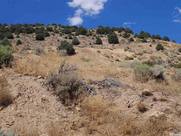 0 C St/Hwy 341, Virginia City, NV 89440