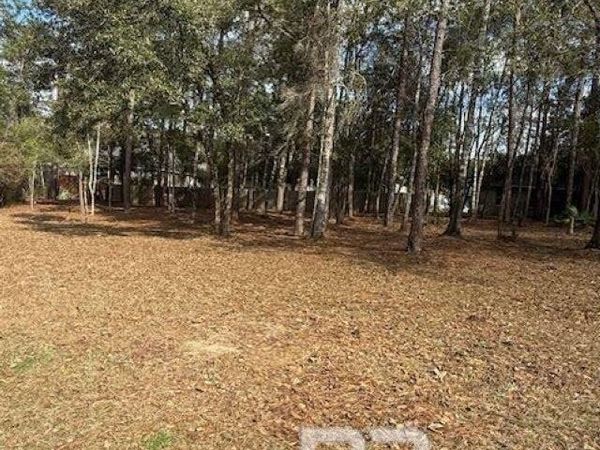 Bunker Loop, Fairhope, AL 36532