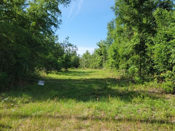 Vacant 20 AC SE Parliament Trail, Lee, FL 32059