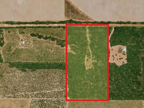Vacant 20 AC SE Parliament Trail, Lee, FL 32059