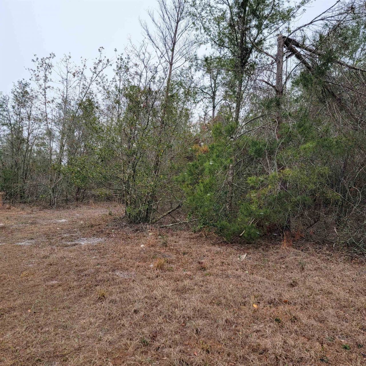 Vacant 20 Ac SE Parliament Trail, Lee, FL 32059 Photo