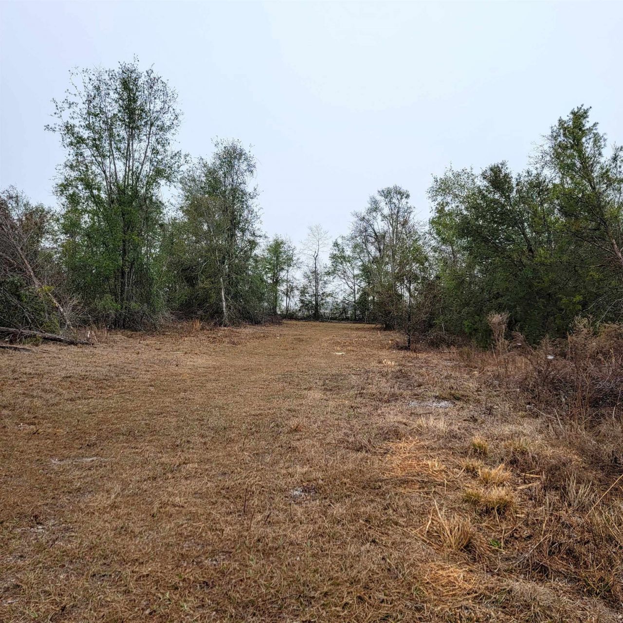 Vacant 20 Ac SE Parliament Trail, Lee, FL 32059 Photo
