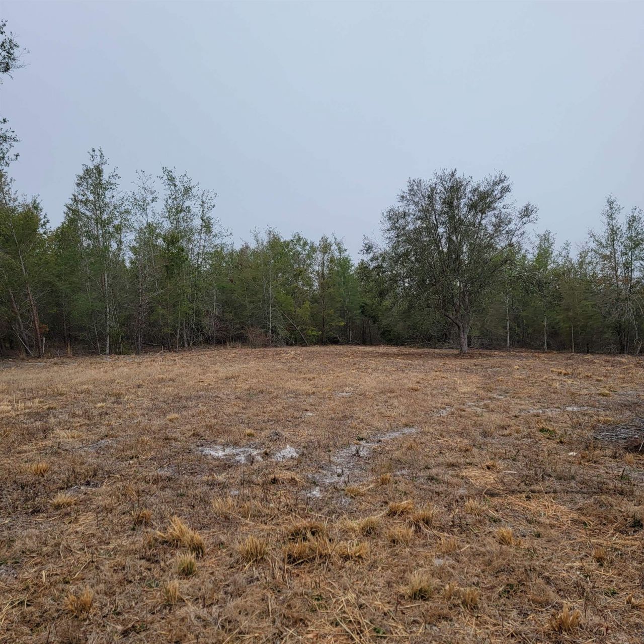 Vacant 20 Ac SE Parliament Trail, Lee, FL 32059 Photo