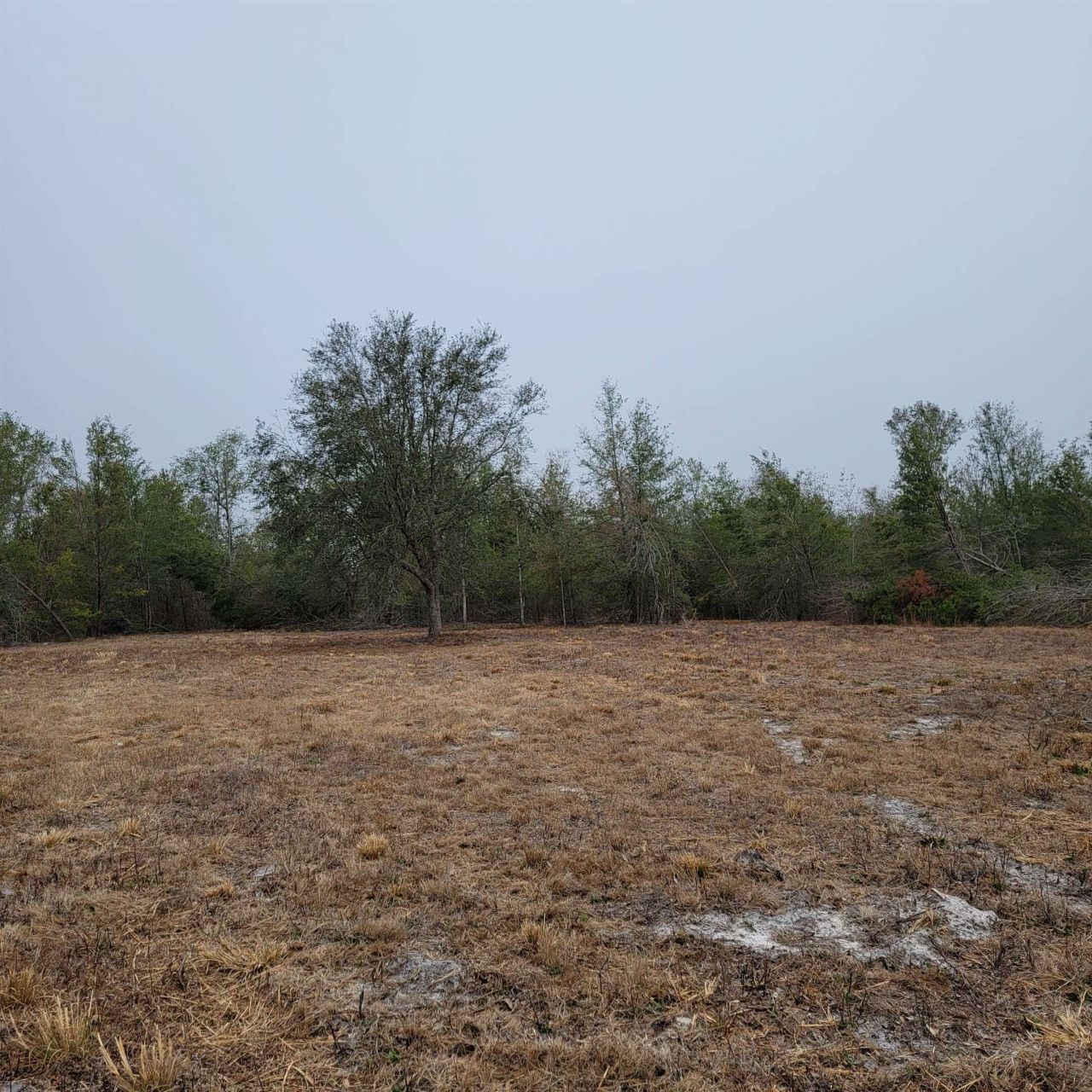 Vacant 20 Ac SE Parliament Trail, Lee, FL 32059 Photo