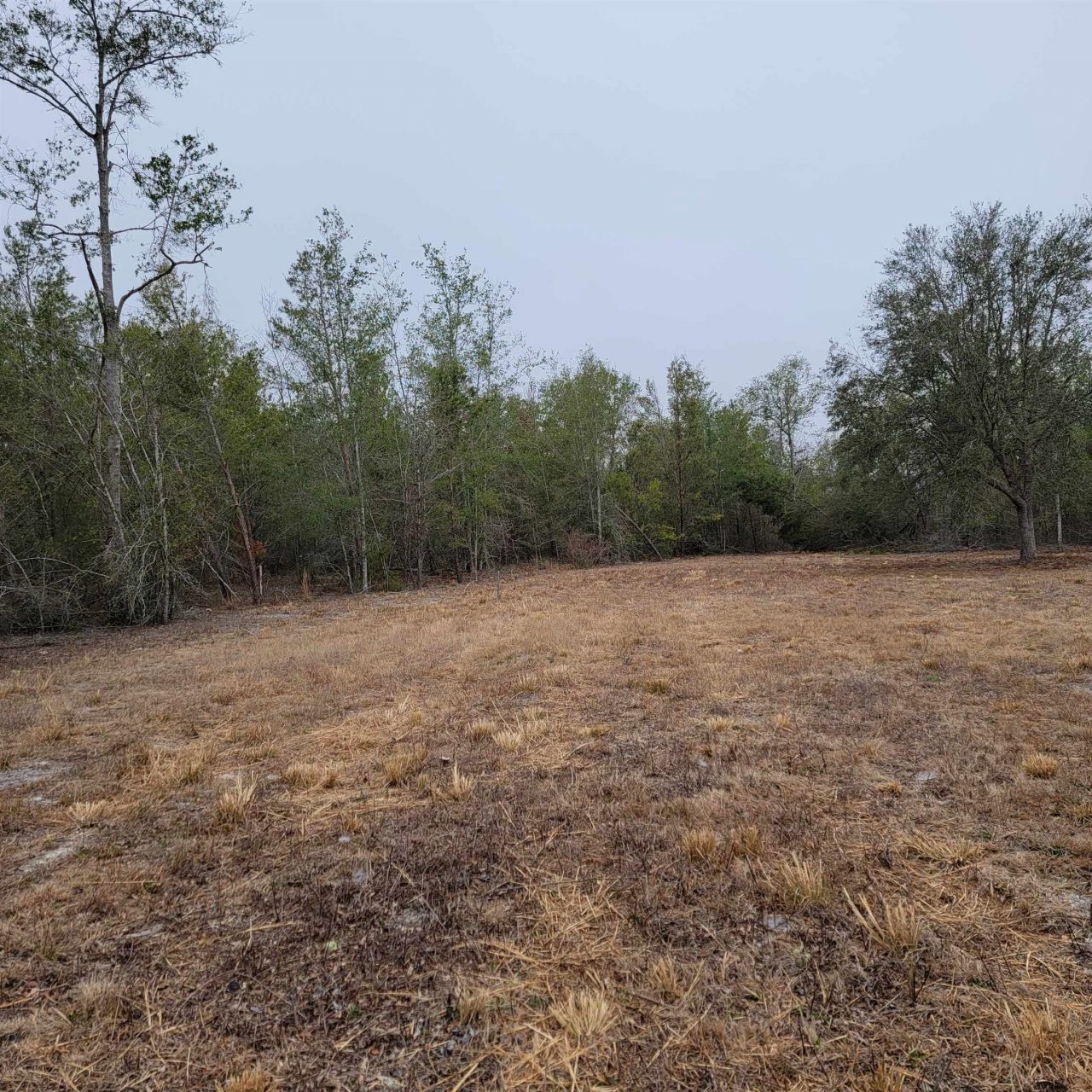 Vacant 20 Ac SE Parliament Trail, Lee, FL 32059 Photo