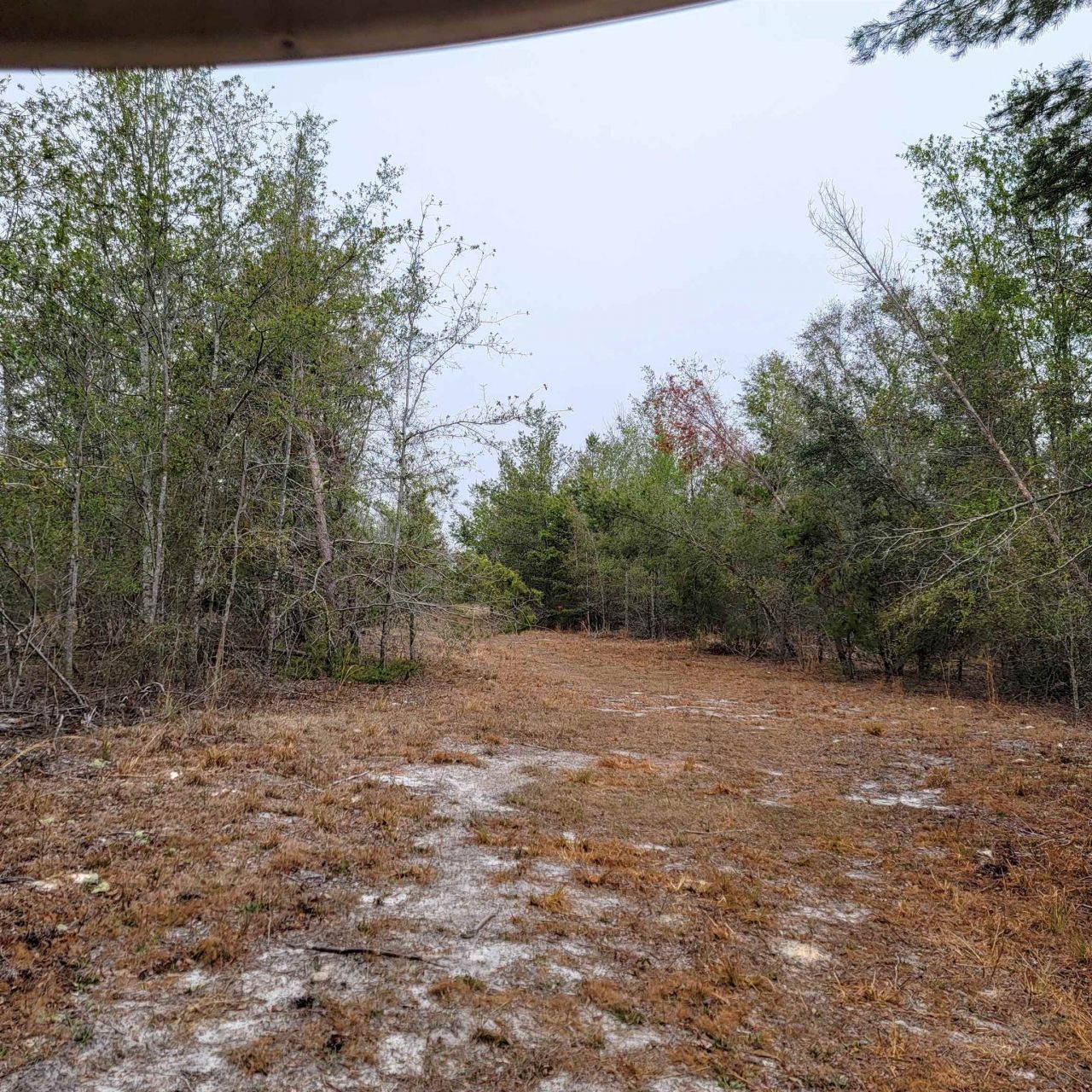 Vacant 20 Ac SE Parliament Trail, Lee, FL 32059 Photo