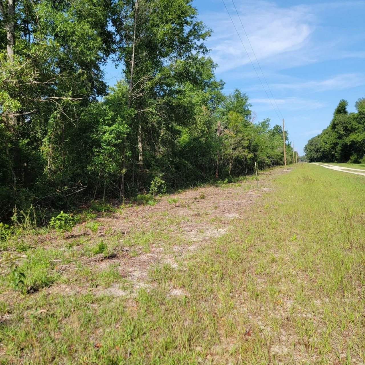Vacant 20 Ac SE Parliament Trail, Lee, FL 32059 Photo