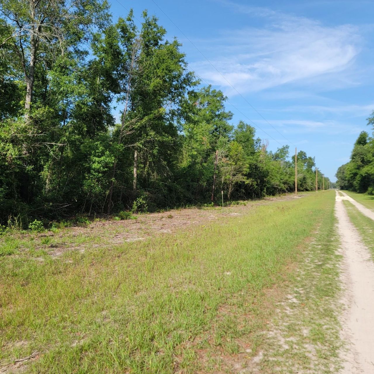 Vacant 20 Ac SE Parliament Trail, Lee, FL 32059 Photo