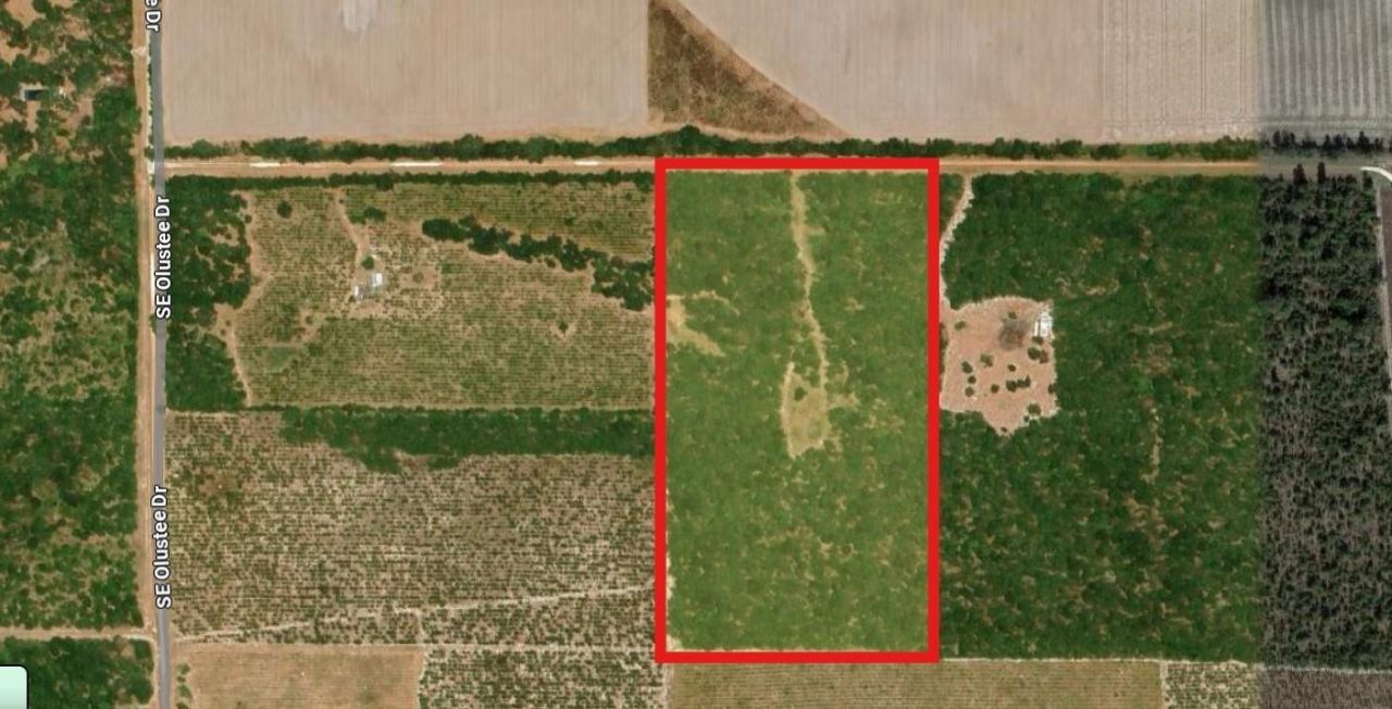 Vacant 20 Ac SE Parliament Trail, Lee, FL 32059 Photo