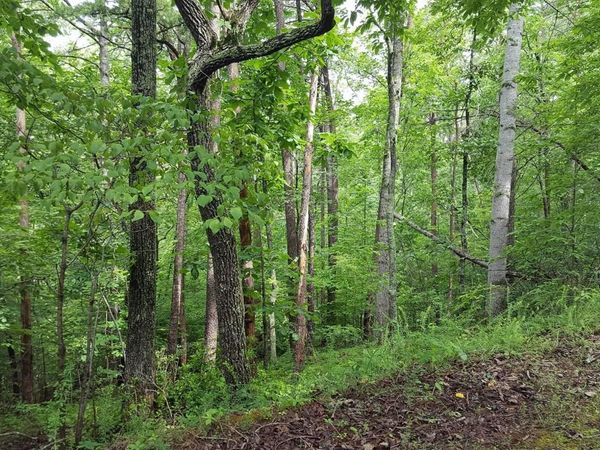 00 Cedar Bluff LN, Hardy, VA 24101