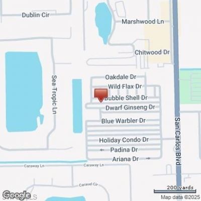 11741 Bubble Shell Dr, Fort Myers, FL 33908 Photo