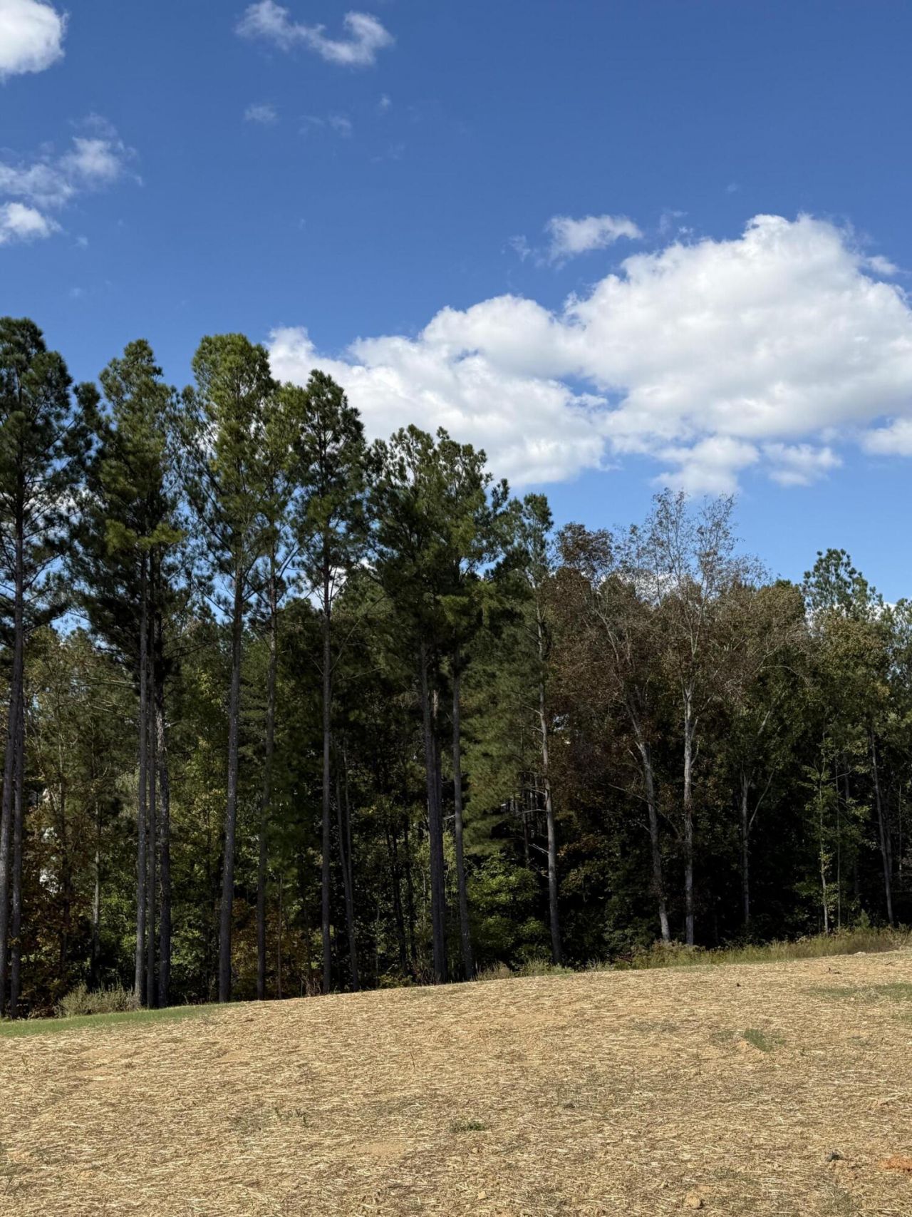 Lot 6 Creekwood, Cleveland, TN 37312 Main Photo