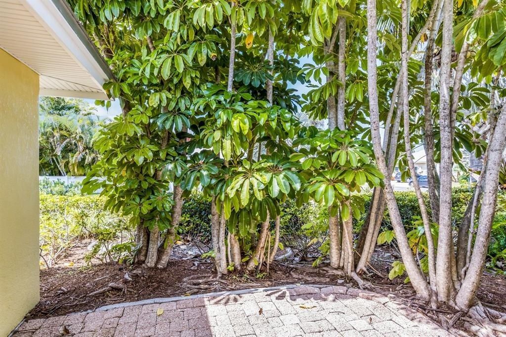 6606 Holmes Boulevard, Unit 3, Holmes Beach, FL 34217 Photo