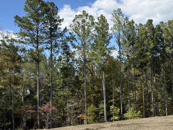 Lot 4 Creekwood, Cleveland, TN 37312