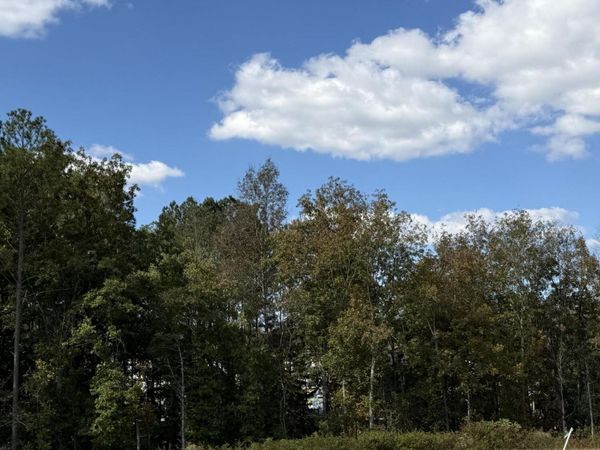 Lot 7 Creekwood, Cleveland, TN 37312