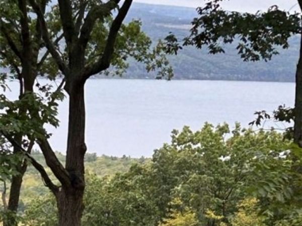 0 Satterly Way, Burdett, NY 14818