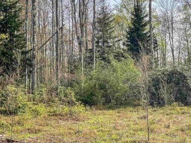 Lot 75 Canal Street, Davis, WV 26260