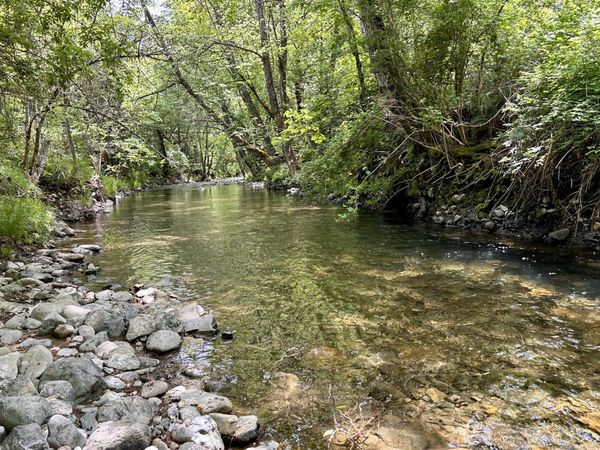 1773 Cedar Flat Road, Williams, OR 97544