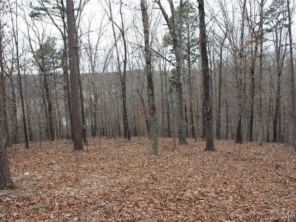 0 Carter 154, Fremont, MO 63941