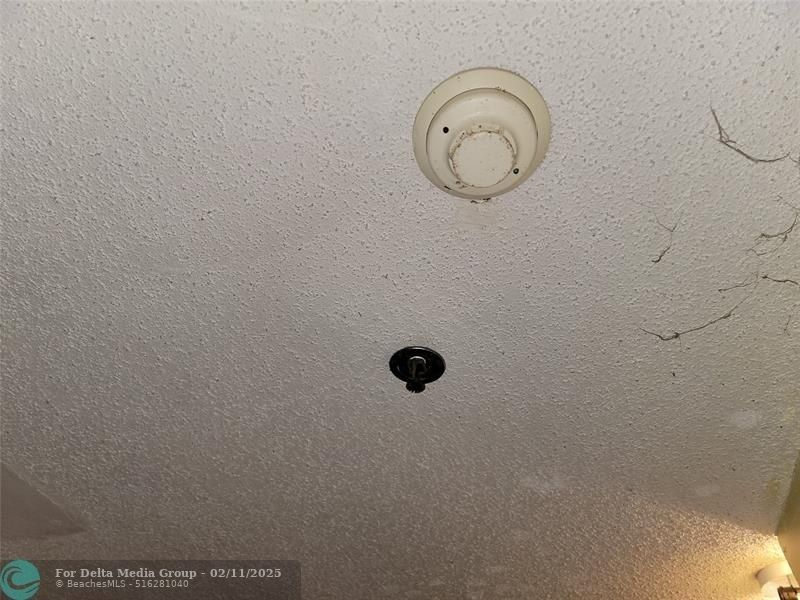 3101 SW 12th Place, Fort Lauderdale, FL 33312 Photo