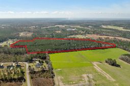 Tbd Daphane Dr. photo 4