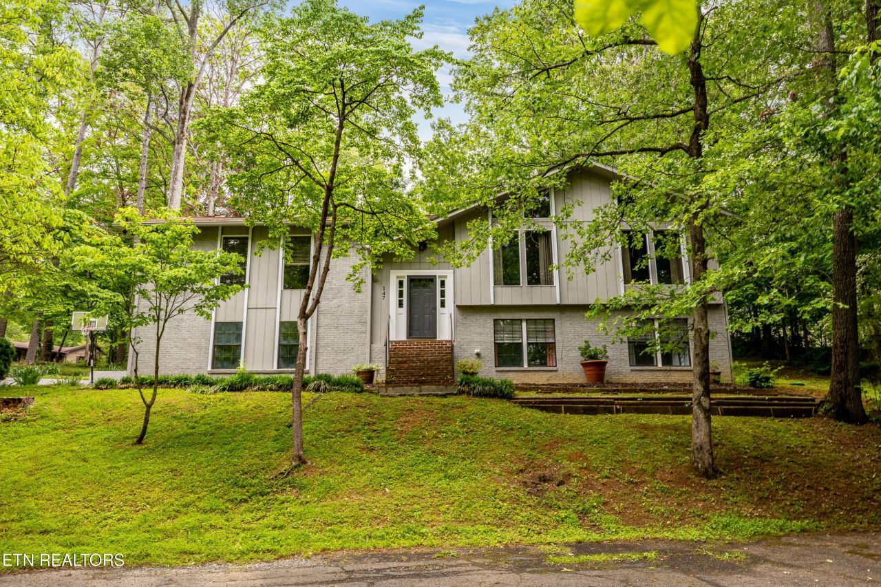 147 County Road 576, Englewood, TN 37329 Main Photo