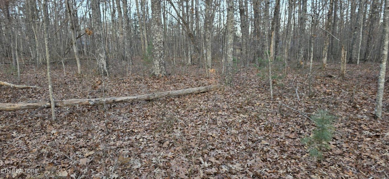 Crestview Loop, Crossville, TN 38571 Main Photo