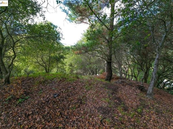 26 Lucille Way, Orinda, CA 94563