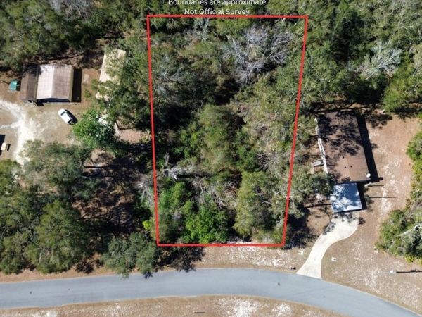 NW 82nd Ter, Fanning Springs, FL 32693