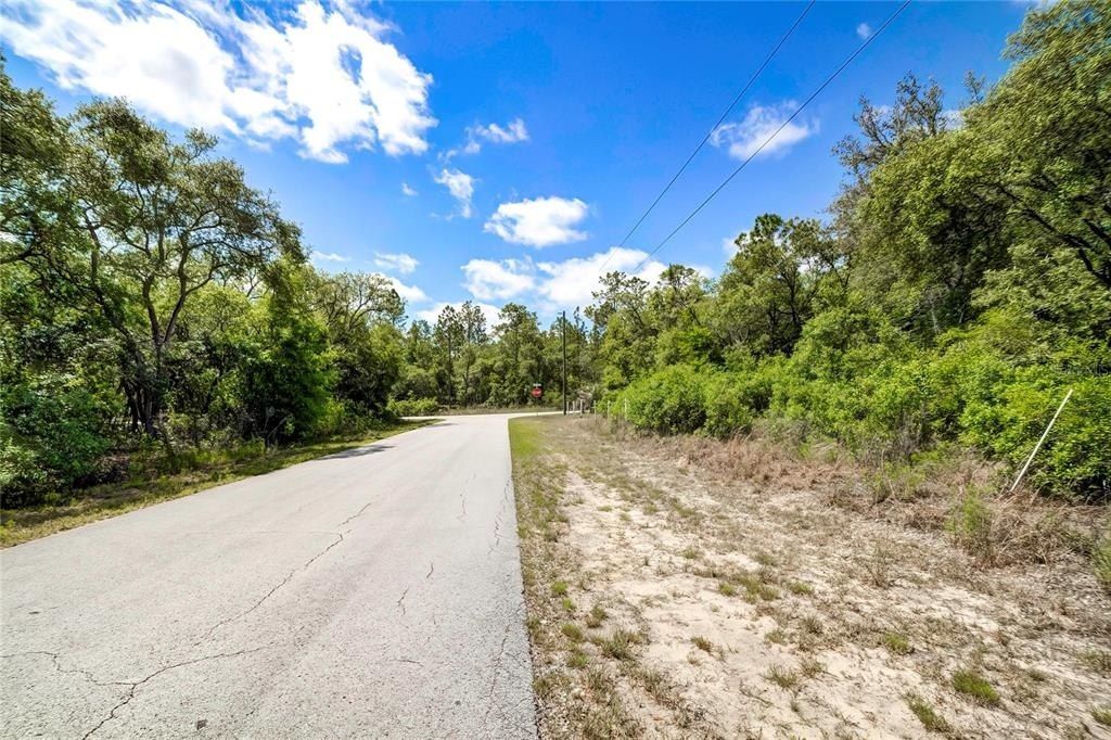 Tbd SW Pineapple Hill Drive, Dunnellon, FL 34431 Photo