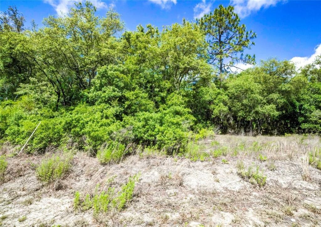 Tbd SW Pineapple Hill Drive, Dunnellon, FL 34431 Photo