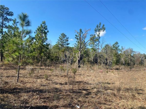 235 MICHIGAN DRIVE, HAWTHORNE, FL 32640