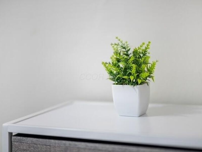 266 Miller Avenue, Columbus, OH 43205 Photo 16