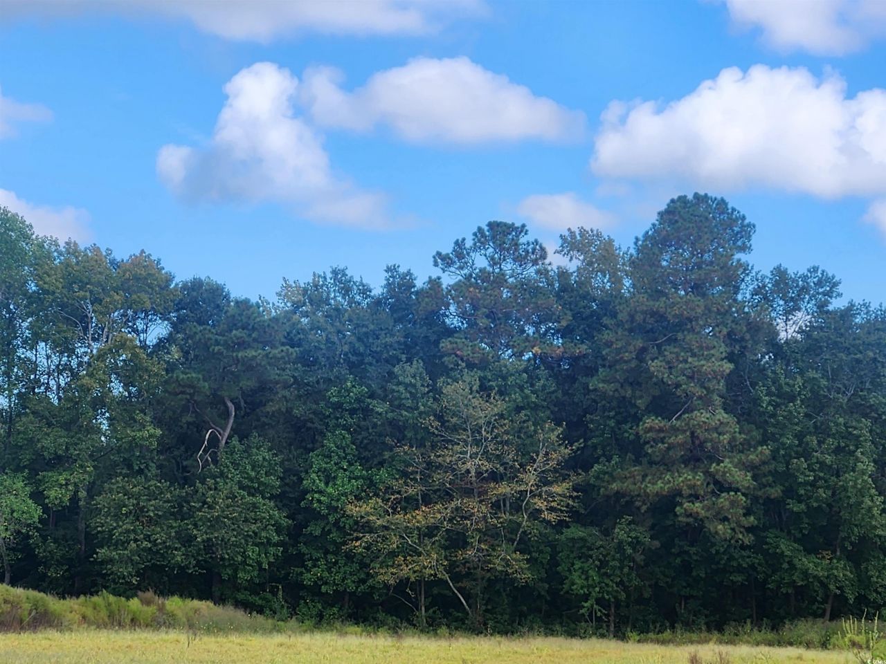 Tbd Goff Rd. Photo 5