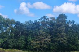 Tbd Goff Rd. photo 4