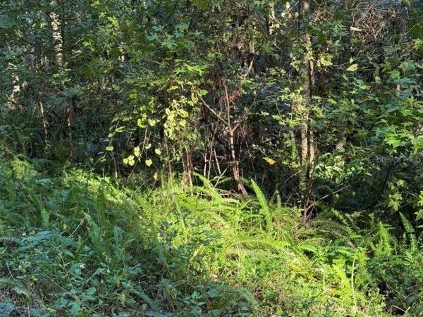 TBD SW 18TH PLACE, OCALA, FL 34481