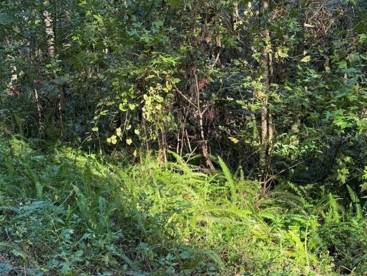 Tbd SW 18th Place, Ocala, FL 34481