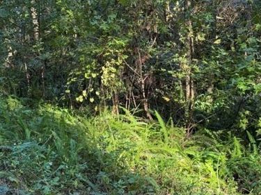 TBD SW 18TH PLACE, OCALA, FL 34481